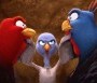  - Pulykaland - Free Birds