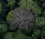  - Volt egyszer egy erdő - Il était une foret