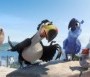  - Rio 2 - Rio 2