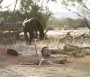 - Akihez beszél a föld - The Water Diviner