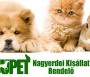 Jupet Állatorvosi Rendelő Debrecen