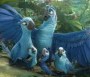  - Rio 2 - Rio 2