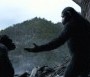  - A majmok bolygója - Forradalom - Dawn of the Planet of the Apes