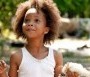  - A messzi dél vadjai - Beasts of the Southern Wild