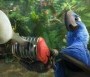  - Rio 2 - Rio 2