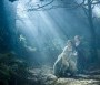  - Vadregény - Into the Woods