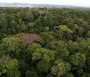  - Volt egyszer egy erdő - Il était une foret