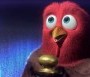  - Pulykaland - Free Birds