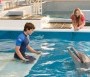  - Delfines kaland 2. - Dolphin Tale 2.