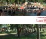 Kerekestelepi Fürdő Debrecen - Kerekestelepi Fürdő