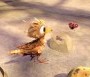  - Sam - Kismadár nagy kalandja - Yellowbird