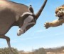  - Khumba - Khumba