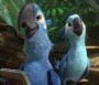  - Rio 2 - Rio 2