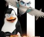  - A Madagaszkár pingvinjei - The Penguins of Madagascar