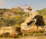 - Khumba - Khumba