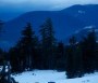  - Vadon - Wild