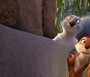 A mogyoró-meló - The Nut Job