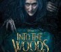  - Vadregény - Into the Woods