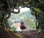  - Vadregény - Into the Woods