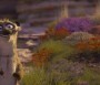  - Khumba - Khumba