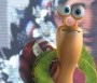  - Turbó - Turbo