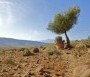  - Asszonyok kútja - La source des femmes / The Source