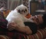  - A hét pszichopata és a Si-cu - Seven Psychopaths