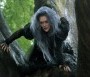  - Vadregény - Into the Woods