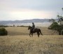  - Akihez beszél a föld - The Water Diviner