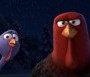  - Pulykaland - Free Birds