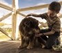  - T.S. Spivet különös utazása - The Young and Prodigious T.S. Spivet