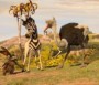  - Khumba - Khumba