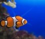 - Tropicarium Budapest