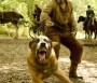  - Django elszabadul - Django Unchained