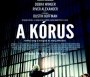  - A kórus - Boychoir
