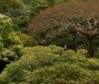 - Volt egyszer egy erdő - Il était une foret