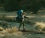  - Vadon - Wild