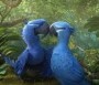  - Rio 2 - Rio 2