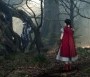  - Vadregény - Into the Woods