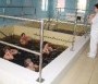 Vízalatti gyógytorna - Püspökladányi Győgyfürdő