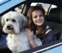  - Mázli a csodakutya - Pudsey the Dog: The Movie