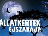VIII. Állatkertek Éjszakája 