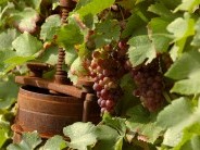Ősz 2012 - Szeptemberi programok