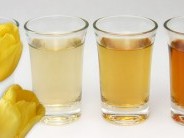 Tihanyi Pünkösdi Pálinkafesztivál