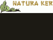 Natura Kert Kerti Centrum