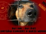 Jótékonysági koncert a Buksi Menhelyért