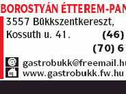 Borostyán Étterem- Panzió - Gastrobükk Kft.