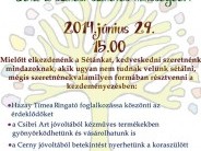 Úton... Séta a szülés/születés minőségéért