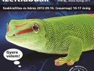 Terrarisztika Börze Budapest