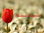 Pünkösdi Fesztivál